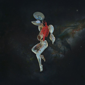 Album : Fossil Gardens