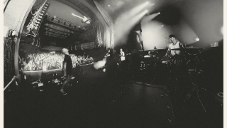 AND SO I WATCH YOU FROM AFAR  "Megafauna"