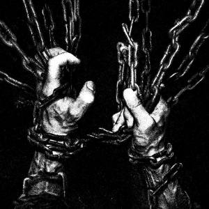 Album : Within The Viscera