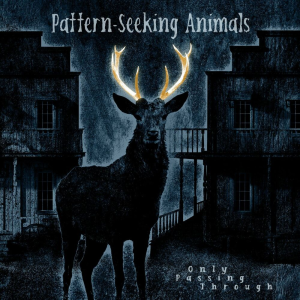 Only Passing Through (Bonus Track Edition) - Pattern-Seeking Animals (InsideOut Music)