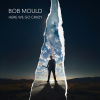 Discographie : Bob Mould