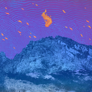 Flickering Resonance - Pelican (Run For Cover Records)