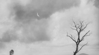 KARNIVOOL "In Verses"