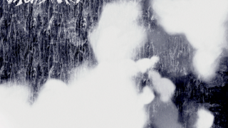 SWEET MONSTERS "Too Bright Too Dark"