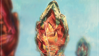 RED SUN ATACAMA "Summerchild"