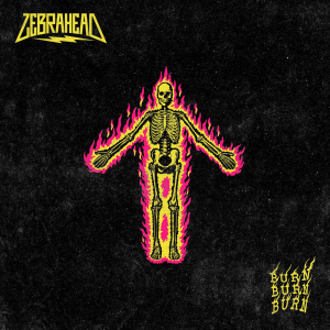 Burn Burn Burn - Zebrahead (MFZB Records)