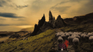 Franck Carducci "Sheeple"