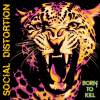 Discographie : Social Distortion
