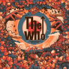 Discographie : The Who