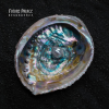 Discographie : Future Palace