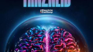 ELECTRIC CALLBOY Tanzneid