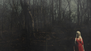 156/SILENCE "From A Distance"