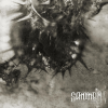 Discographie : Sangham