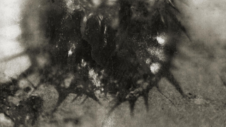 SANGHAM "The Radiant Crown"