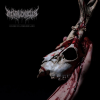 Discographie : Mental Cruelty