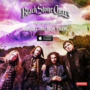 Black Stone Cherry @ Konzerthaus - Aadorf, Suisse [11/06/2014]