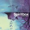 Concerts : Spiritbox