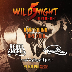 Wild Night 5 Unplugged @ La Mécanique Ondulatoire - Paris, France [29/05/2026]
