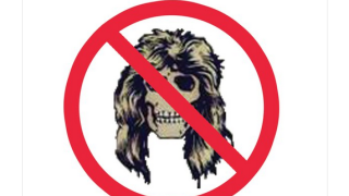 Steven Adler Une annonce importante à venir…