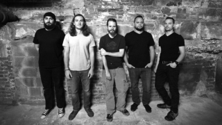 IF THESE TREES COULD TALK Dans un état proche de l'Ohio