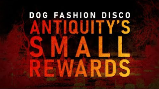 DOG FASHION DISCO • "Antiquity's Small Rewards" (Audio)