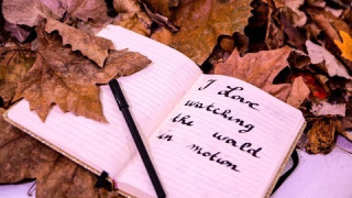 HOLISPARK • "Hold On" (Lyric Video)