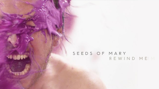 SEEDS OF MARY • "Rewind Me"