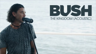 BUSH • "The Kingdom" (Acoustic)