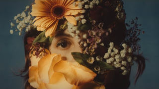 DREAMSHADE "Safe Harbour"