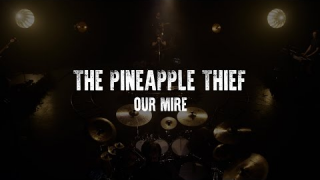 THE PINEAPPLE THIEF "Our Mire" (Live)