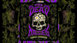 THE DEAD DAISIES "Saving Grace" (Audio)