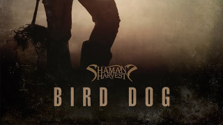 SHAMAN'S HARVEST "Bird Dog" (Lyric Video)