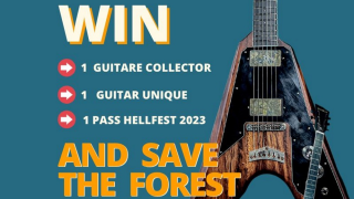 SAVAGE LANDS Un pass Hellfest et deux guitares... Pour sauver la forêt !