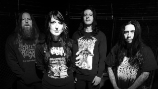 STABBING Interview Bridget Lynch