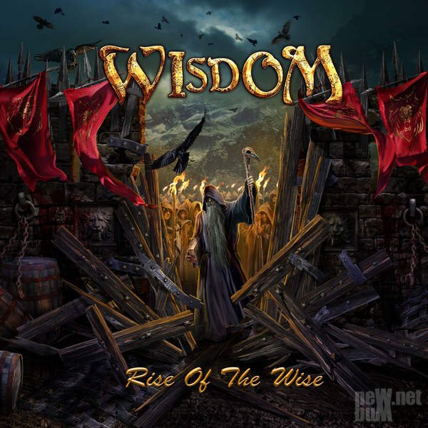 Rise Of The Wise