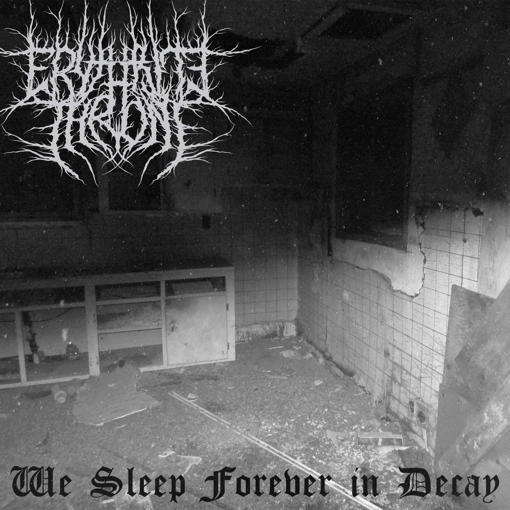We Sleep Forever in Decay