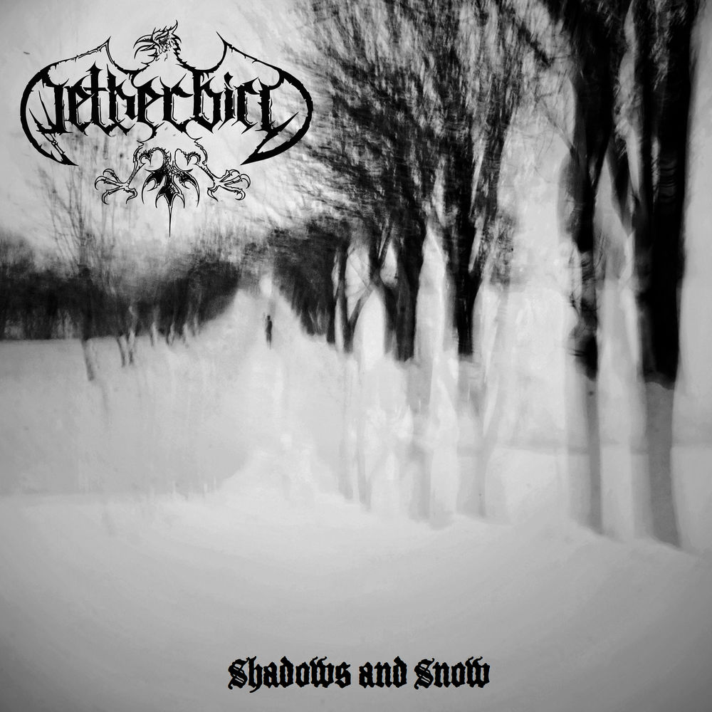Shadows and Snow