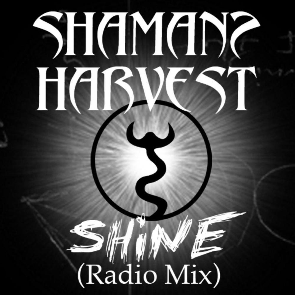 Shine (Radio Mix)